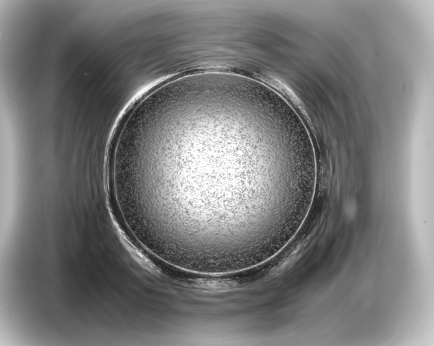 X0000087050795200705021155