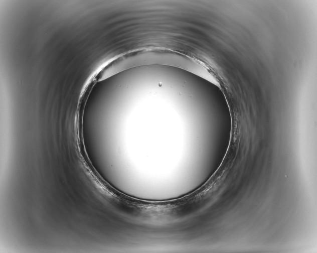 X0000087050796200705021155