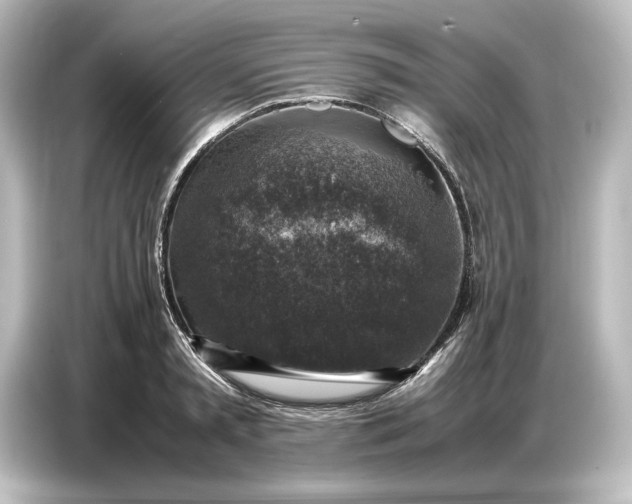 X0000087050797200705021155