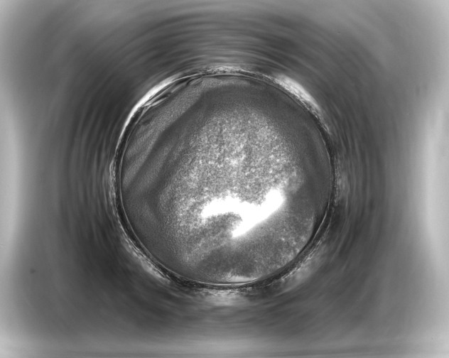 X0000087050798200705021155