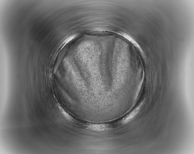 X0000087050801200705021155