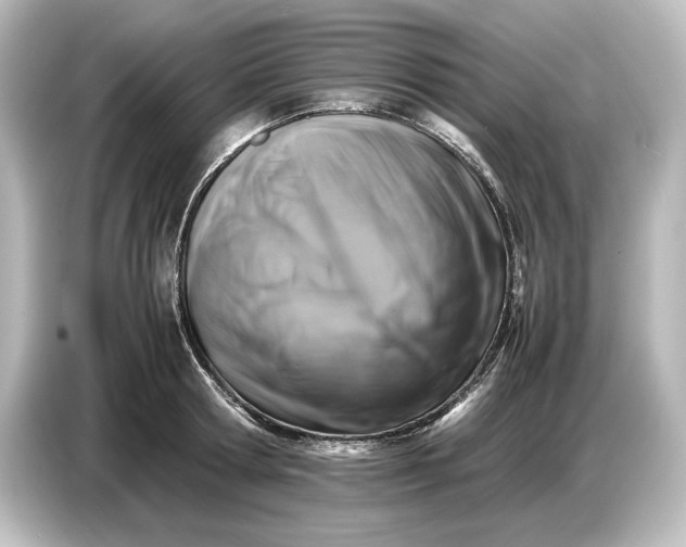 X0000087050802200705021155