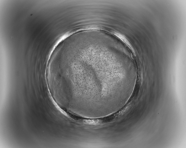 X0000087050805200705021155