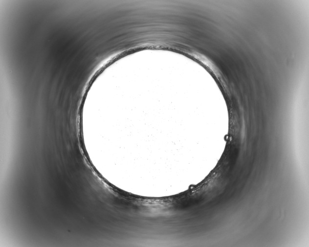 X0000087050807200705021155