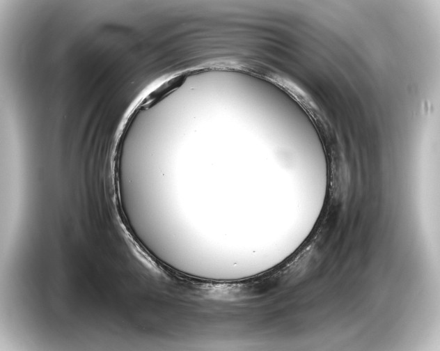 X0000087050808200705021155