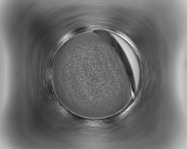 X0000087050809200705021155