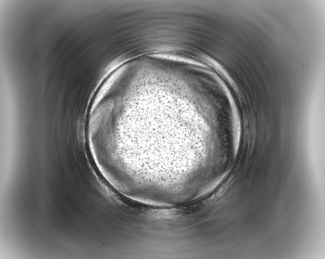 X0000087050810200705021155