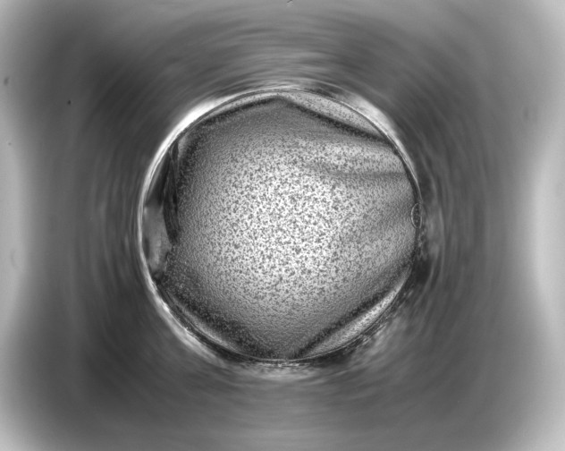 X0000087050811200705021155