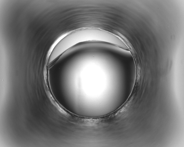 X0000087050812200705021155