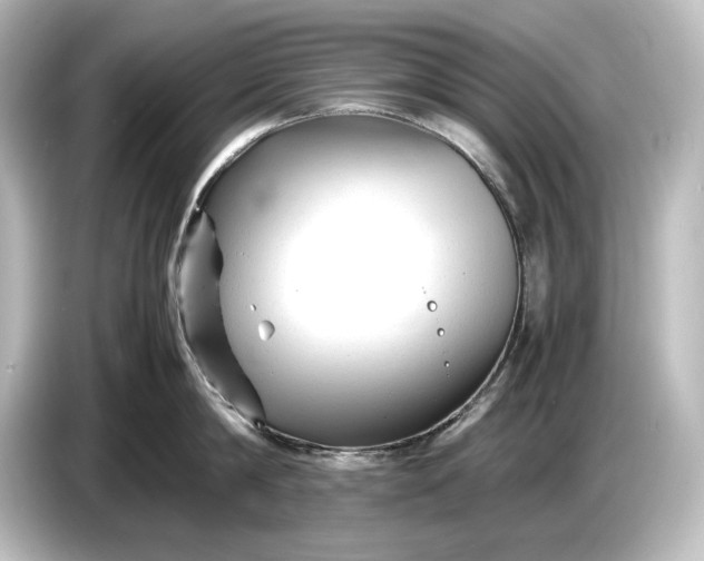 X0000087050814200705021155