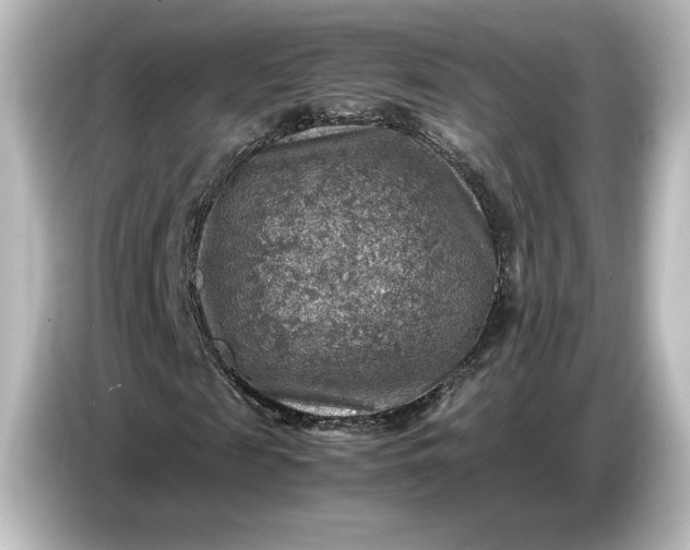 X0000087050817200705021154