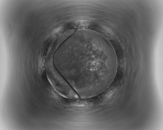 X0000087050818200705021154