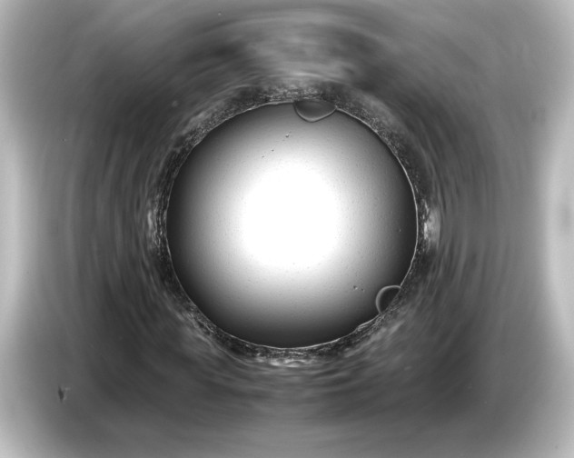 X0000087050819200705021154