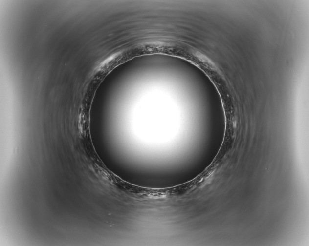 X0000087050822200705021154