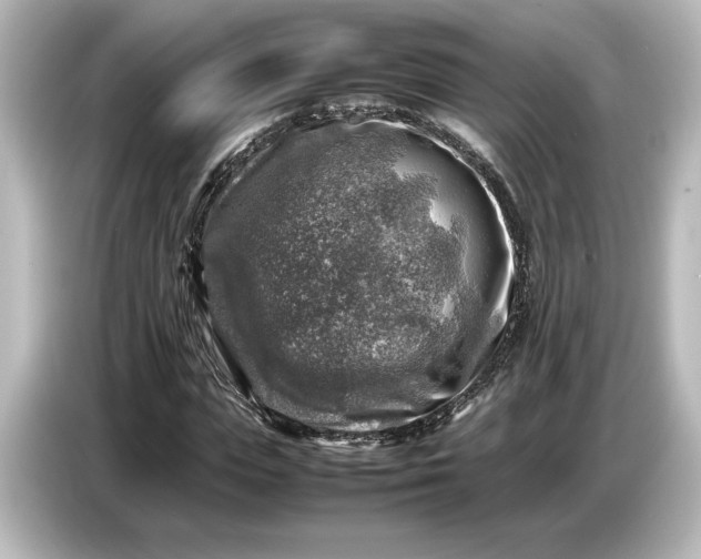 X0000087050823200705021155