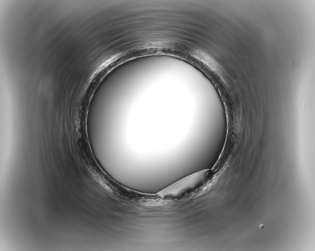 X0000087050826200705021155