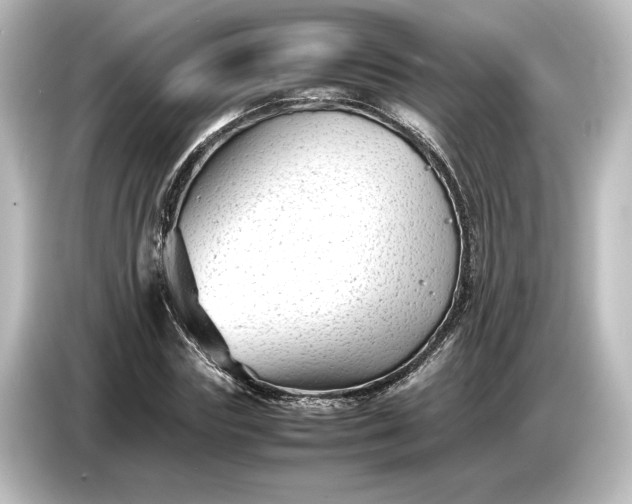 X0000087050827200705021155