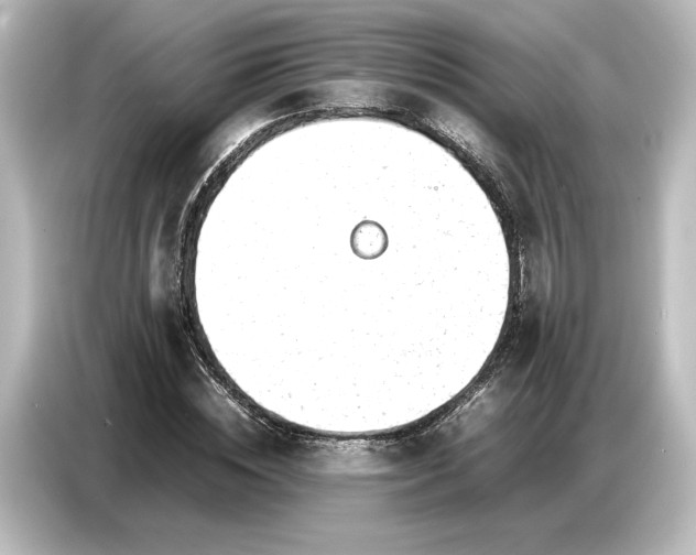 X0000087050828200705021155