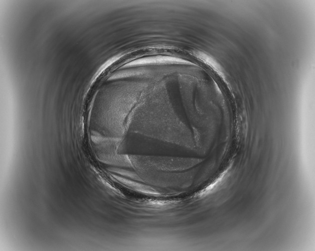 X0000087050829200705021155