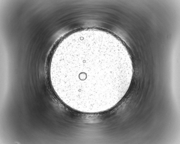 X0000087050832200705021155