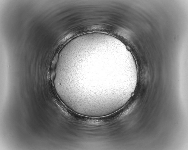 X0000087050833200705021155