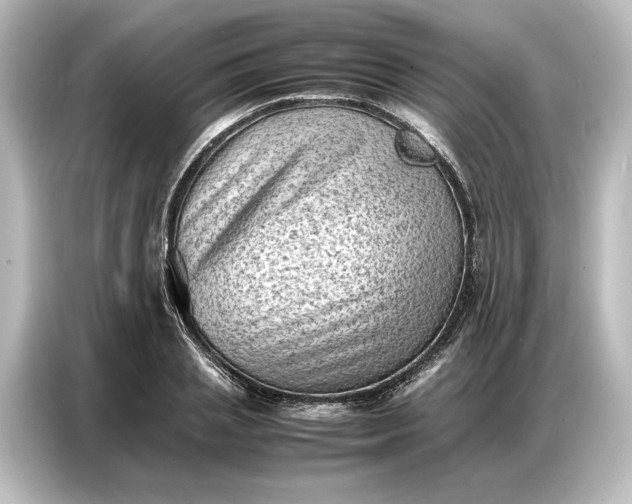 X0000087050837200705021155