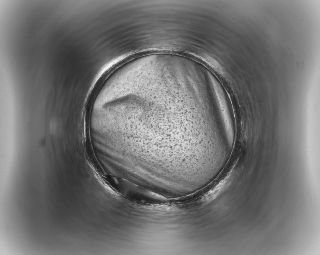 X0000087050838200705021155