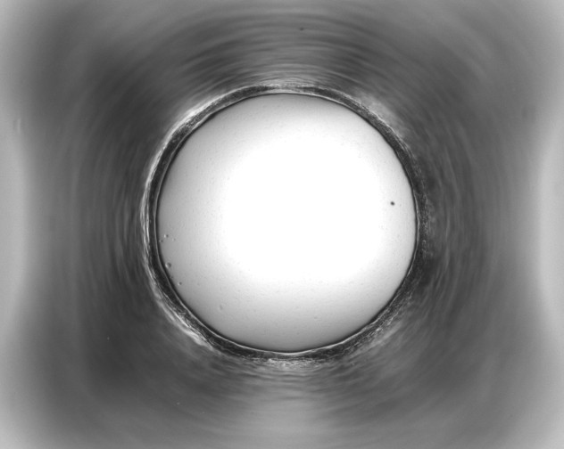 X0000087050840200705021155