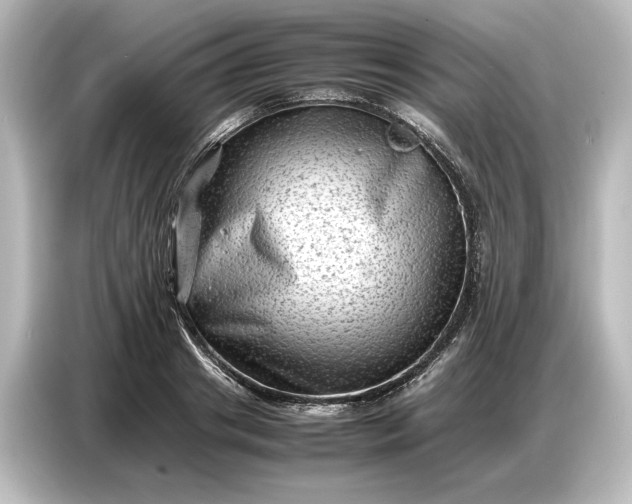 X0000087050841200705021155