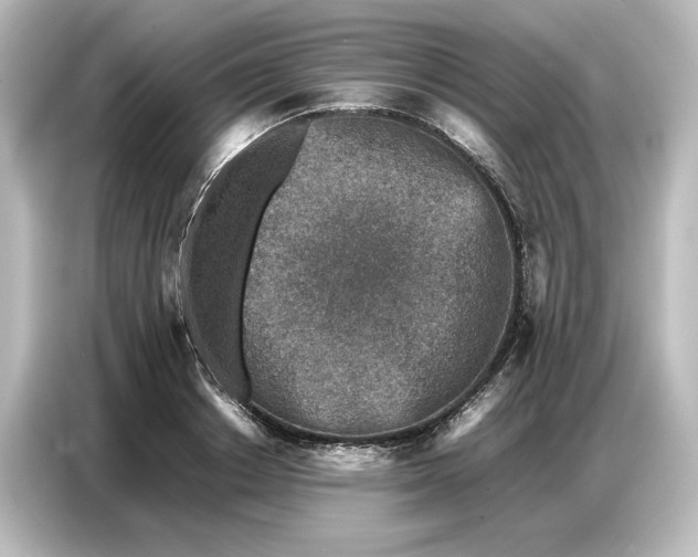 X0000087050842200705021155