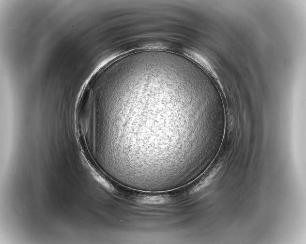 X0000087050843200705021155