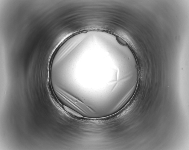 X0000087050844200705021155