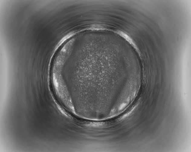 X0000087050845200705021155