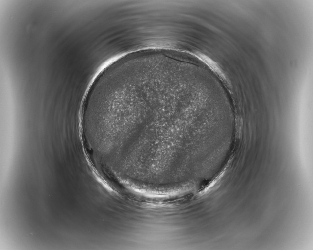 X0000087050846200705021155