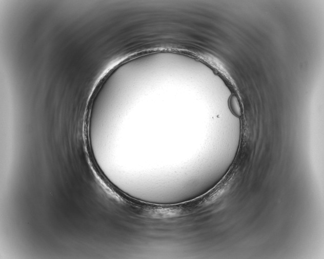 X0000087050847200705021155