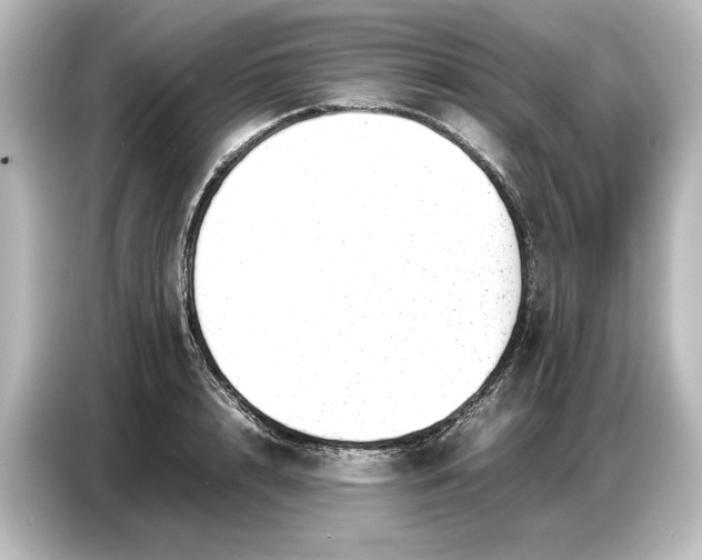 X0000087050848200705021155