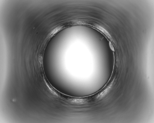 X0000087050849200705021155