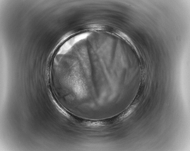 X0000087050851200705021155