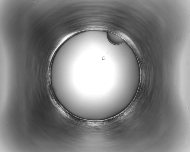 X0000087050852200705021155