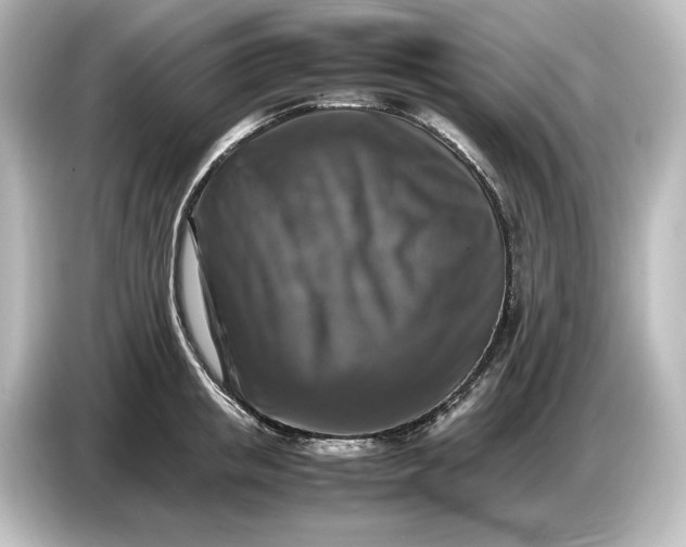 X0000087050853200705021155