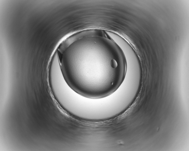 X0000087050854200705021155