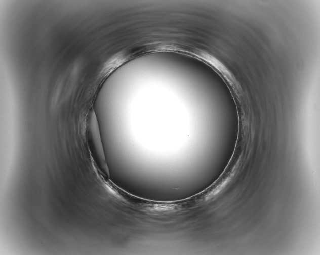 X0000087050857200705021155