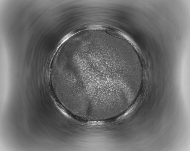 X0000087050858200705021155