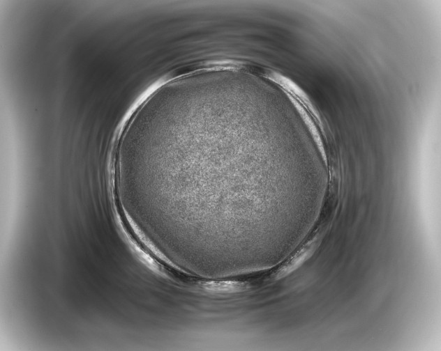 X0000087050859200705021155