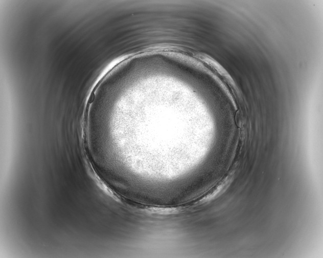 X0000087050860200705021155