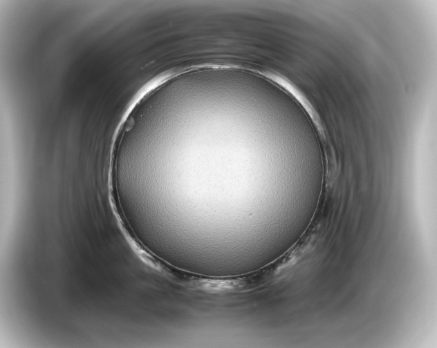 X0000087050861200705021155