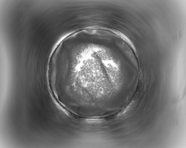 X0000087050863200705021155