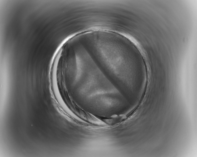 X0000087050864200705021155