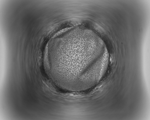 X0000087050867200705021154