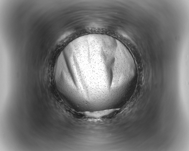 X0000087050870200705021154